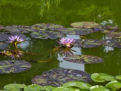 -国家植物园南园