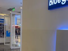 -Blueglass酸奶(财富购物中心店)