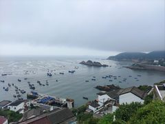 -枸杞岛