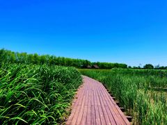 -永定河休闲森林公园