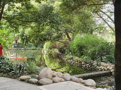 -成都市活水公园