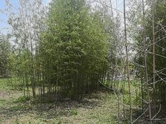 -嘉北郊野公园