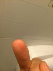 点击看大图 -苑苑发型设计