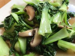-WILDS 野有食(碧坞店)