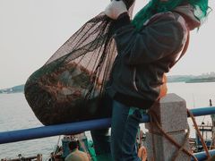 -青岛沙子口国家中心渔港