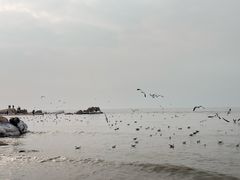 -老虎石海上公园