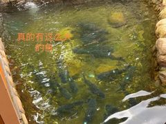 -耕渔小院·湖南鱼鲜(望城店)