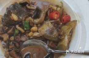 Stewed Turtle with Head Specialty