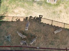 -鄂尔多斯野生动物园