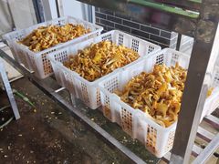 -双喜农庄·菌香园(安居家园店)