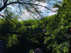 -众神白水涧景区