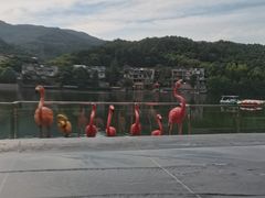 -海兰云天度假区温泉