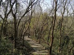 -南京市江宁方山