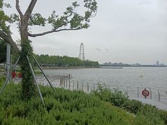 -金鸡湖景区