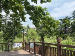 -崂山仰口游览区