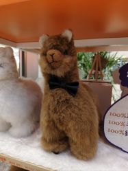 -IMON·HANSA潮玩玩偶毛绒玩具(通州万象汇店)