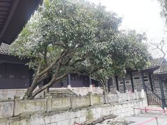 -阳明祠