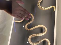 -龙达温泉生态城
