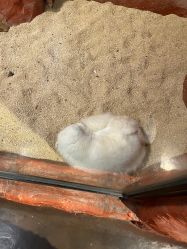 -Zoolung Zoolung动物主题公园(海信广场店)