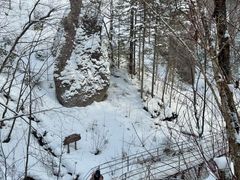 -峡谷浮石林景区