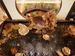 -冶春茶社(官园桥店)