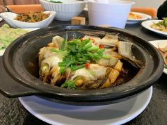 生焖鲈鱼-喜洲翰林餐厅(董家百年老宅店)
