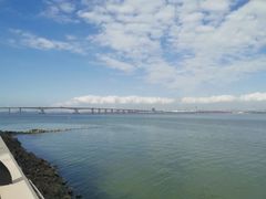 -大湾区中央湿地公园