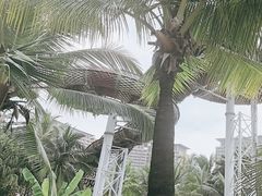 -亚马逊丛林水乐园