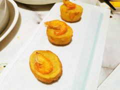 上海油墩子-蘭心·臻品(瑞虹太阳宫店)