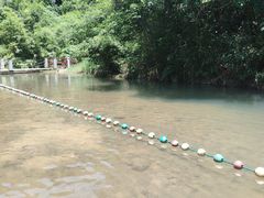 -广州白江湖森林公园