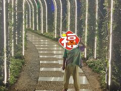-随州碧桂园凤悦凤凰酒店