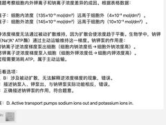 -JT PREP国际学科课程·IB·AP·Alevel(陆家嘴校区)