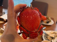 -嘉定凯悦·咖啡厅