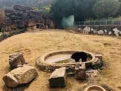 -无锡动物园·太湖欢乐园