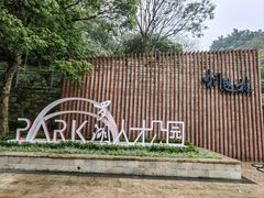 -银湖山郊野公园-相思林