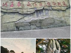 -广州市帽峰山景区