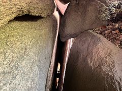 -六里坪国家森林公园