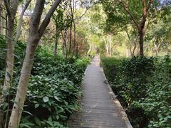 -新江湾城公园