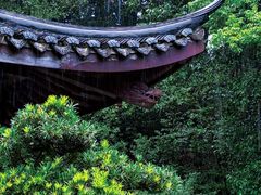 -虎跑公园