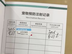 -瑞派天使宠物医院·神经外科·骨科·核磁CT(洛川中路店)