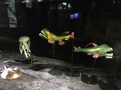 模型-同济大学四平路校区深海探索馆