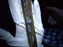 -青岛第三海水浴场