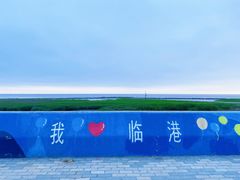 -南汇嘴观海公园