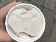 -洪馨椰子