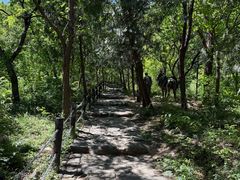 -阳台山自然风景区