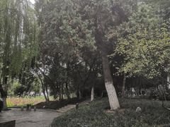 -包公祠
