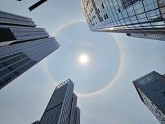 -红树湾(地铁站)