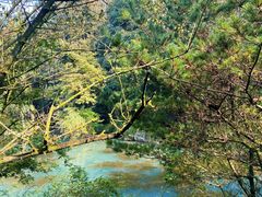 -杭州半山国家森林公园