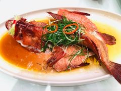 -千灯盛汇·头牌粤菜(致越优城店)
