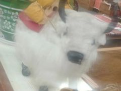 -卡万金特色藏餐